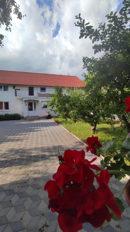 Casa Sommer Petresti Exterior foto